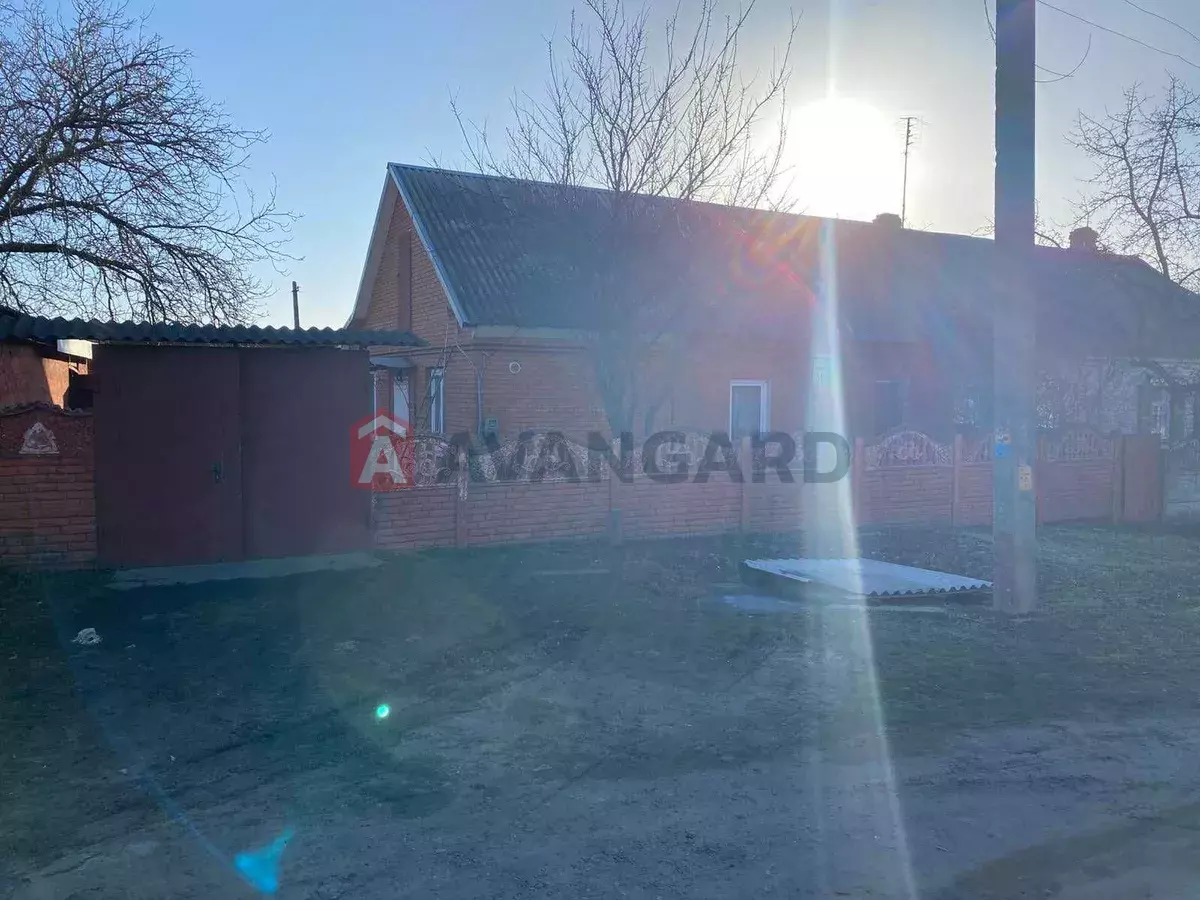 �������, 94 ��.�. ���� 12