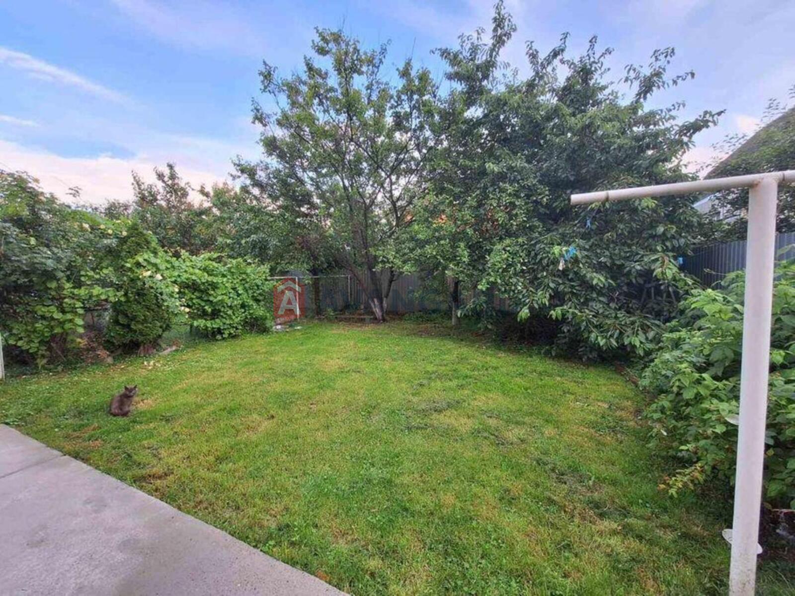 ������� �������, 200 ��.�. ���� 6