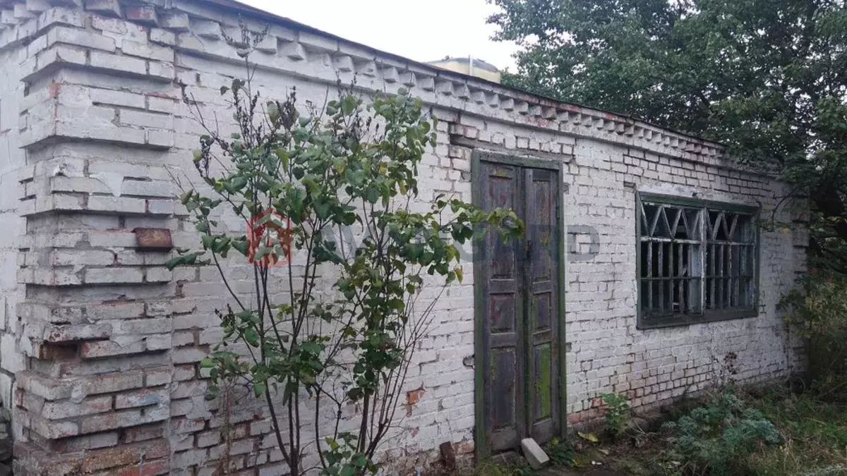 �������, 80 ��.�. ���� 3