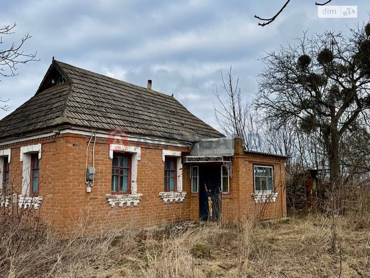 �������, 48 ��.�. ���� 4