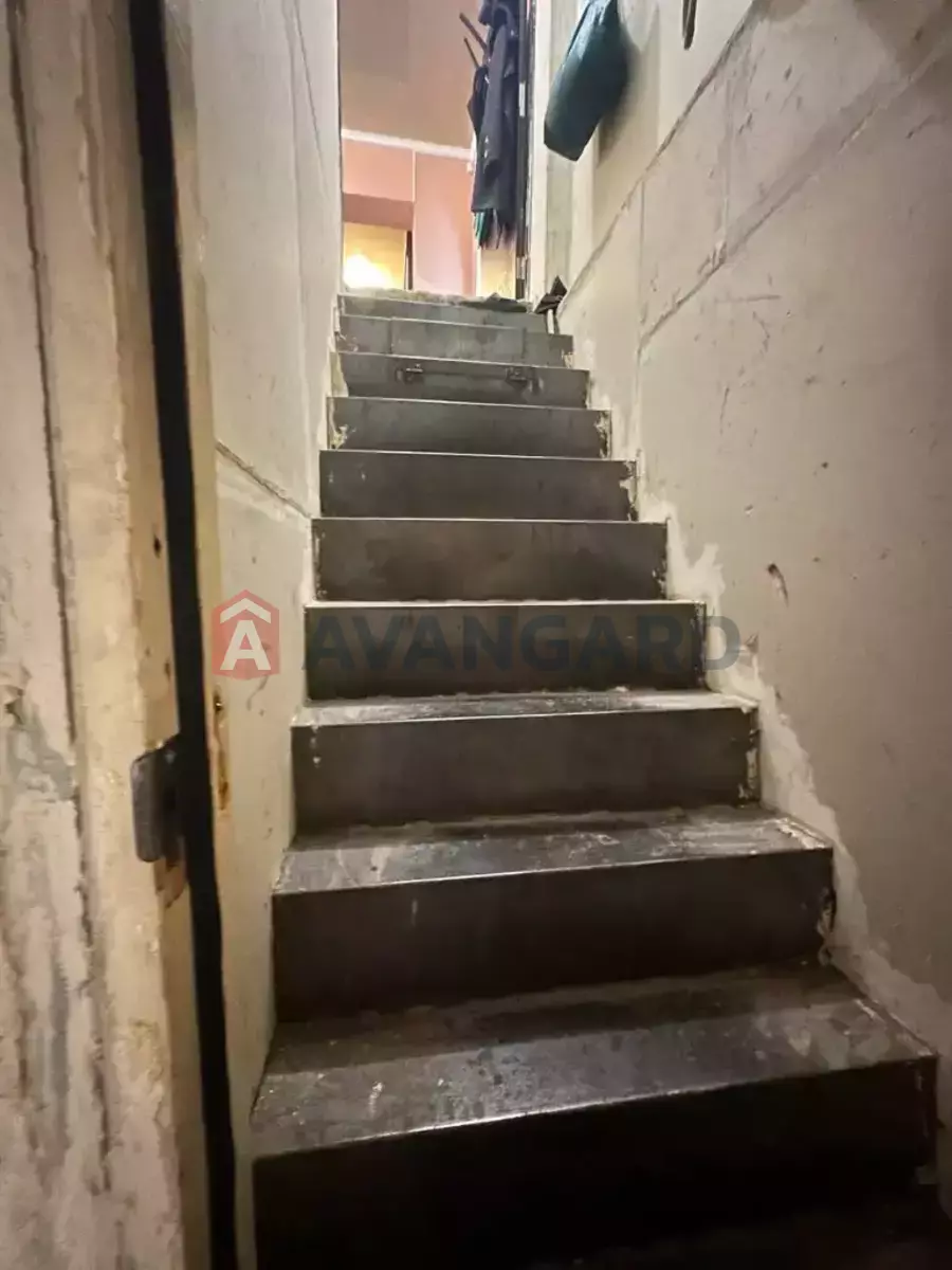 �������, 176 ��.�. ���� 11