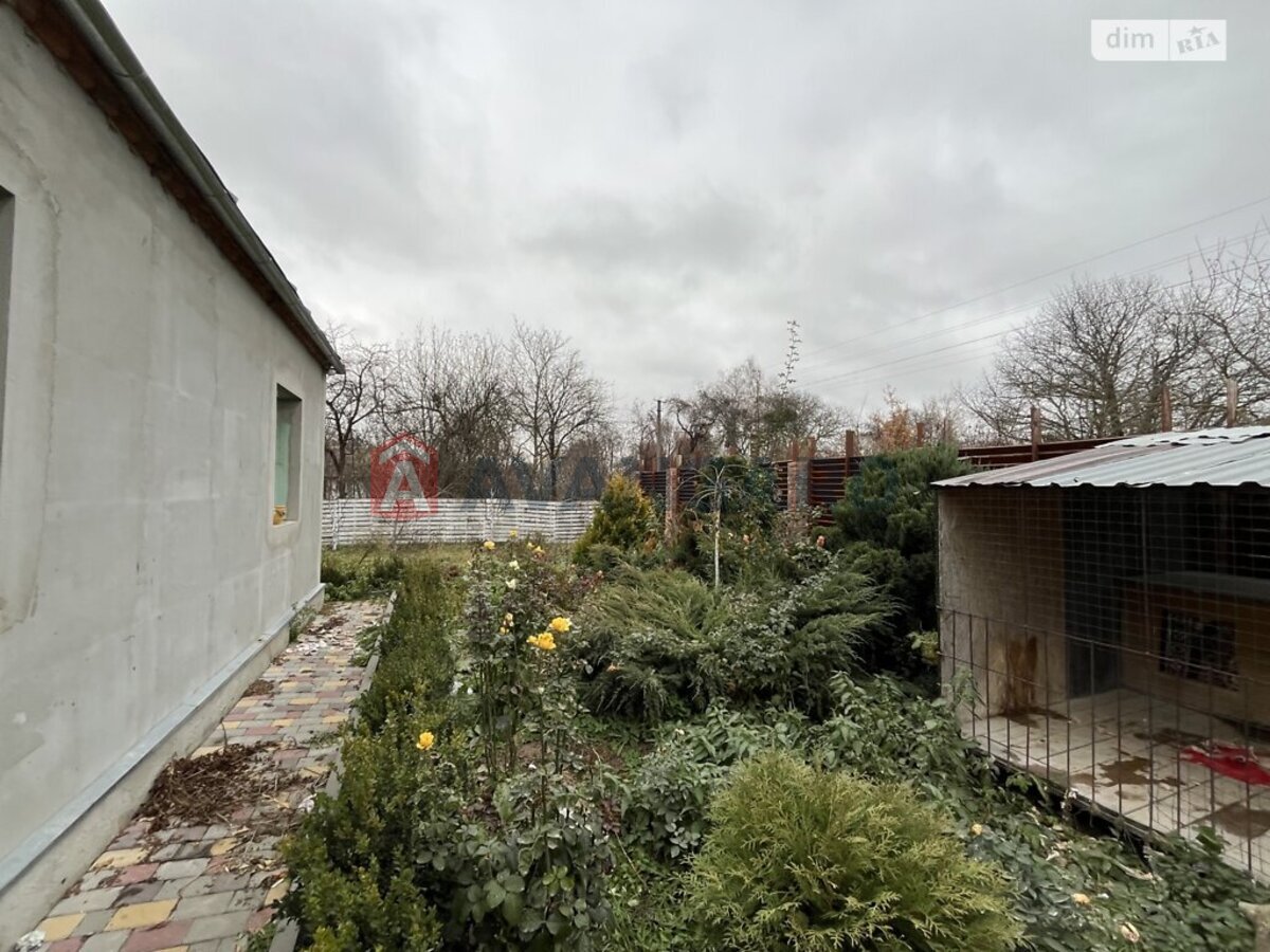 �������, 77 ��.�. ���� 20