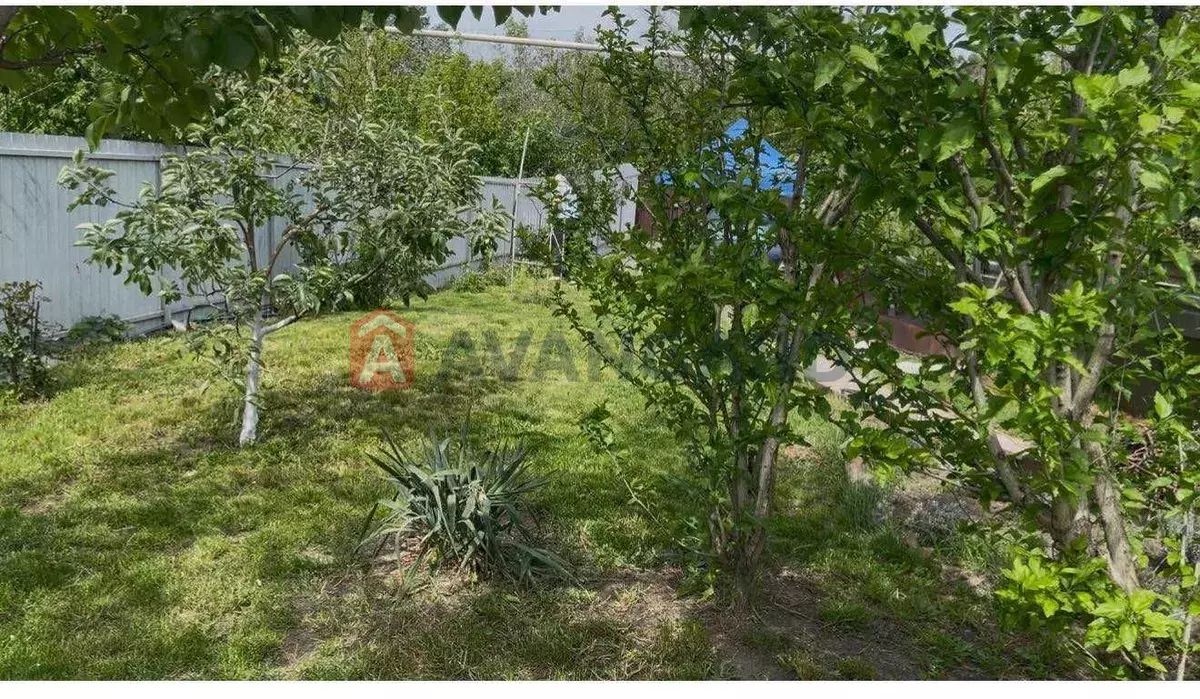 �������, 42 ��.�. ���� 10