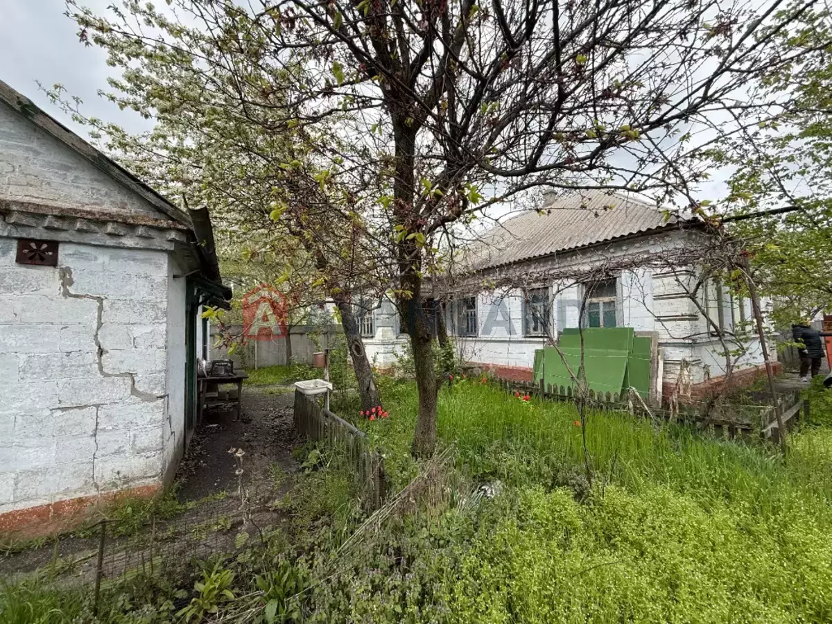 �������, 50 ��.�. ���� 4