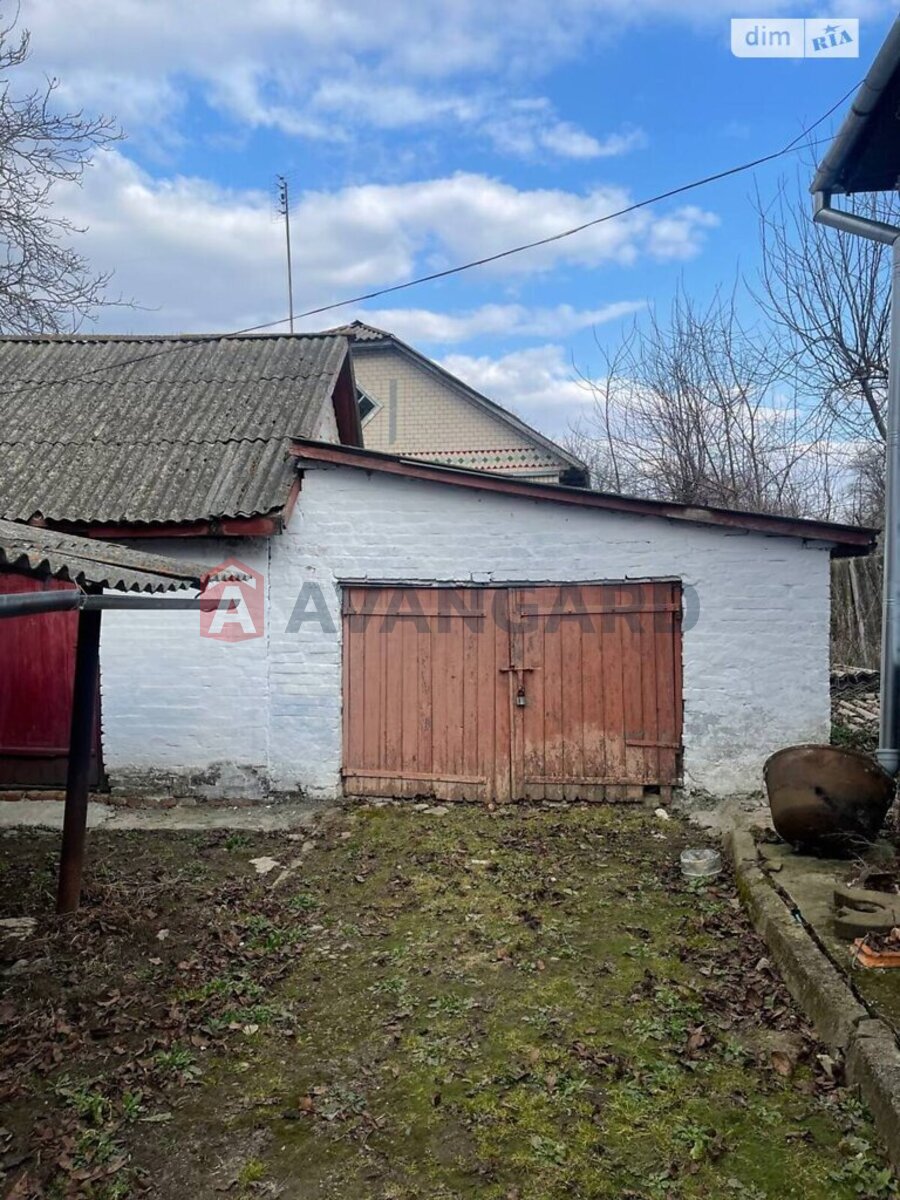 �������, 96 ��.�. ���� 13