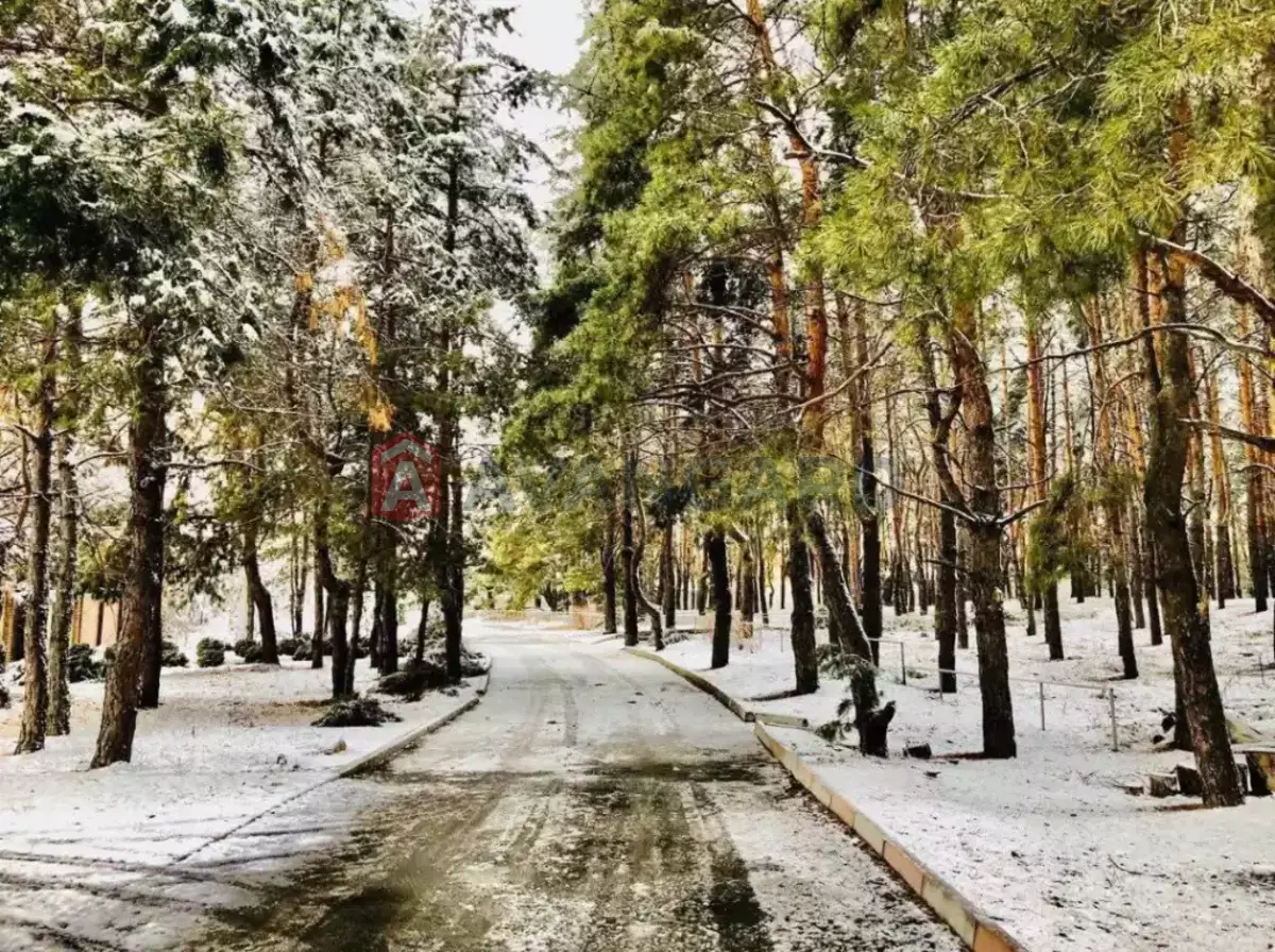 �������, 199 ��.�. ���� 30