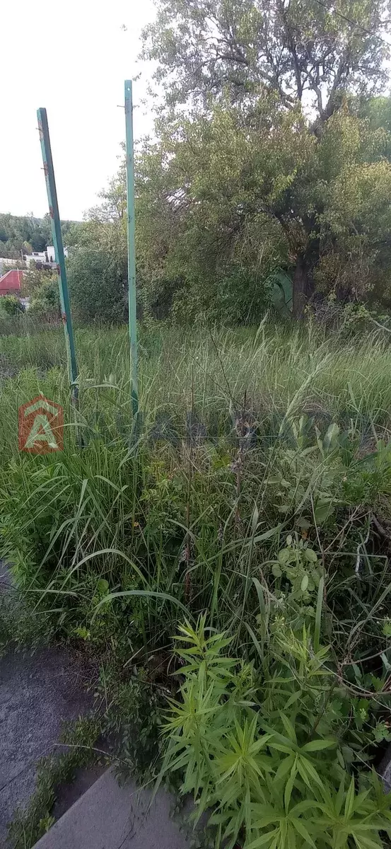 ����, 23 ��.�. ���� 11