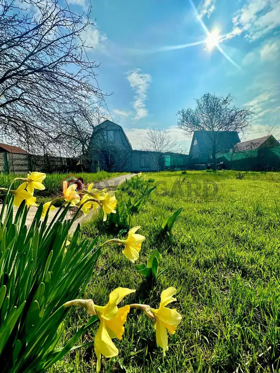 ����, 60 ��.�. ���� 2