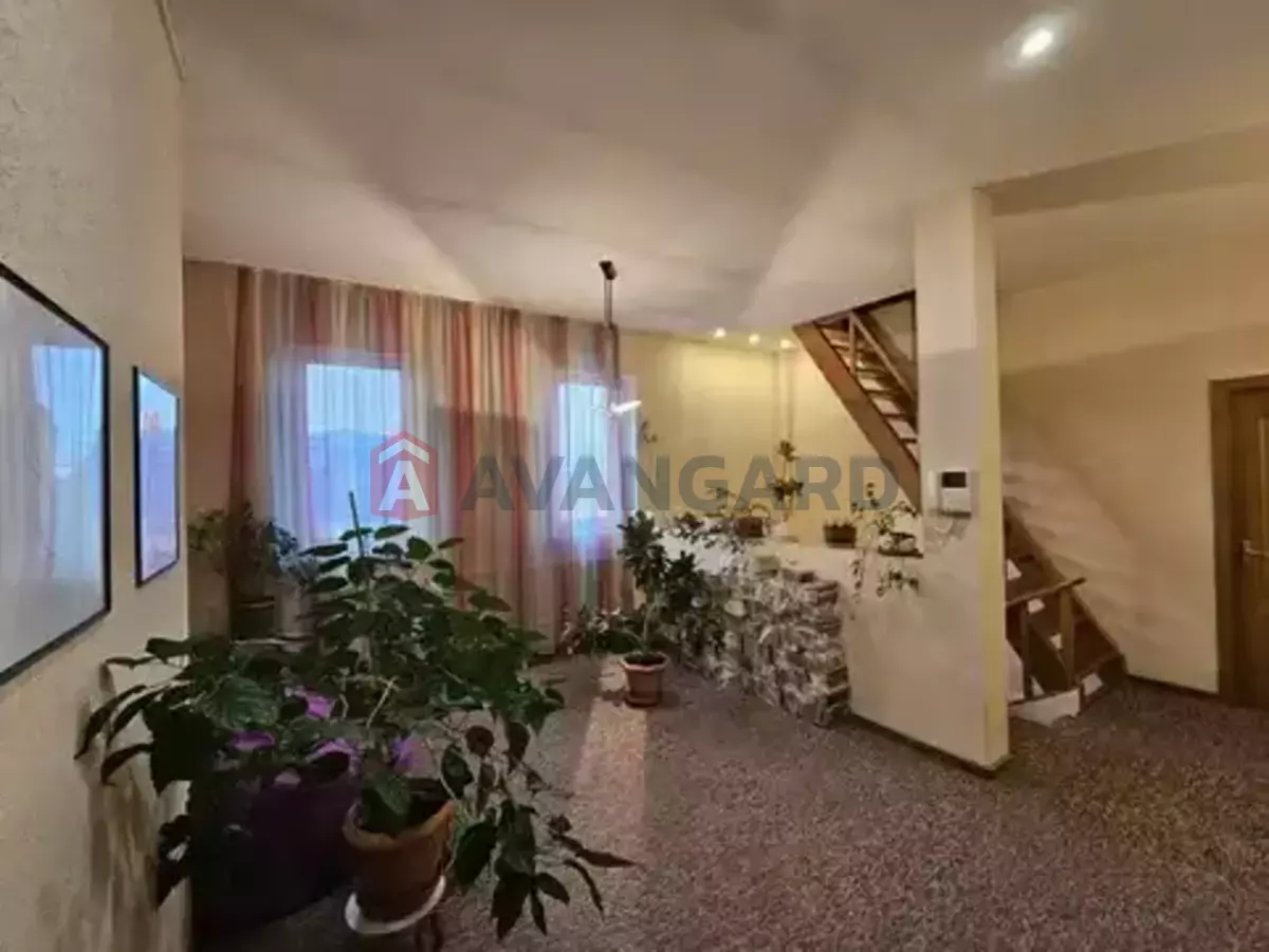 �������, 230 ��.�. ���� 1