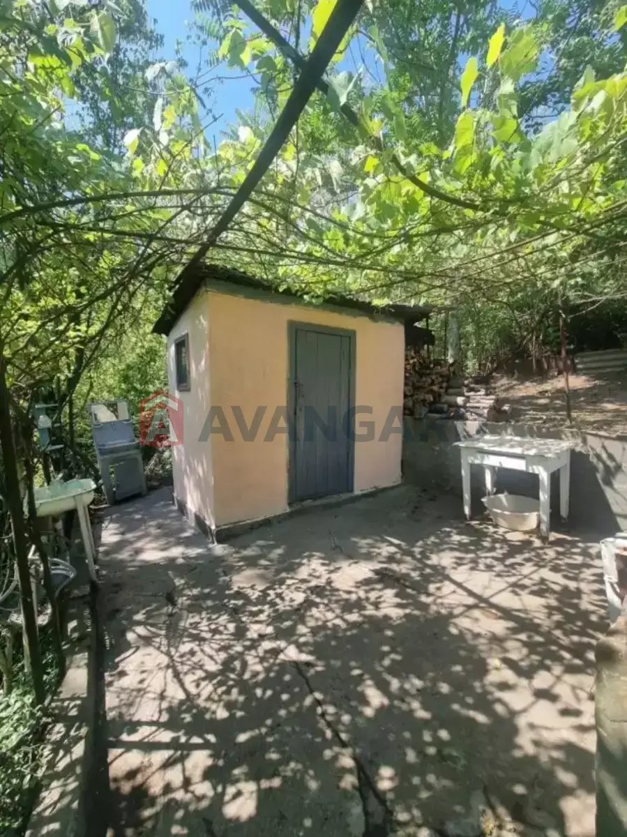 ����, 35 ��.�. ���� 11