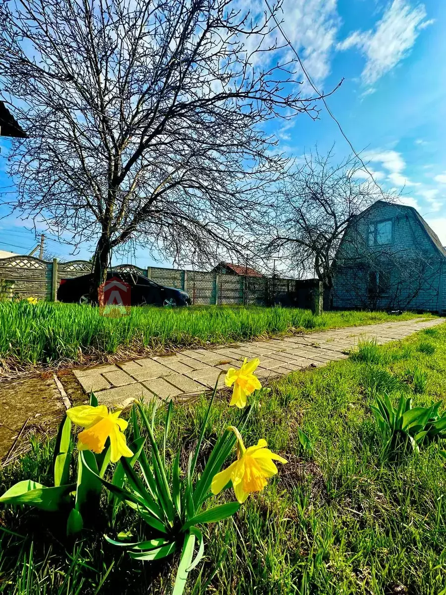 ����, 60 ��.�. ���� 3