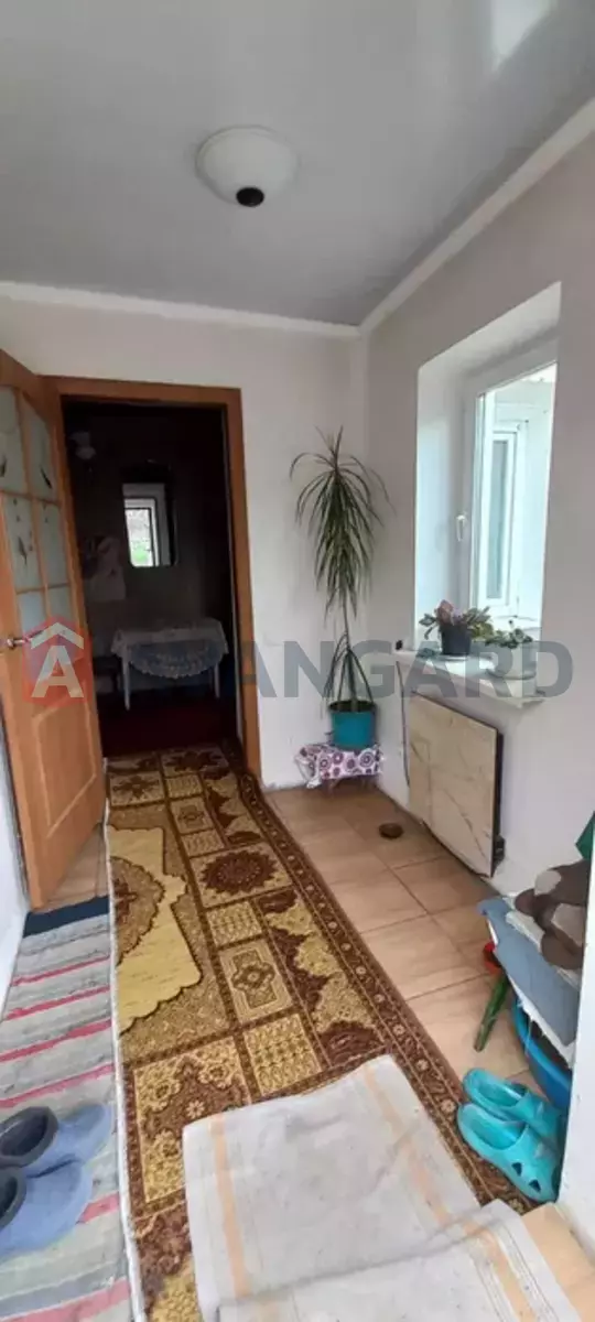 �������, 67 ��.�. ���� 12