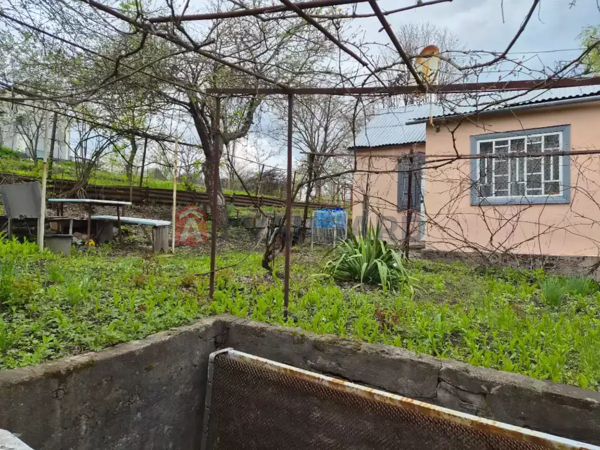 ����, 35 ��.�. ���� 5