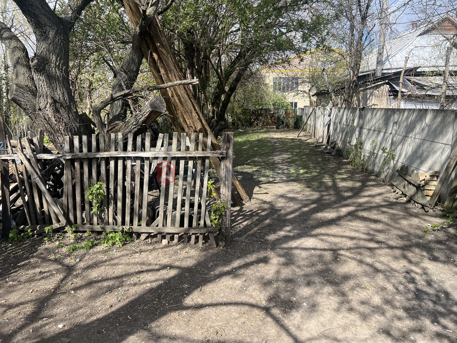 �������, 50 ��.�. ���� 3