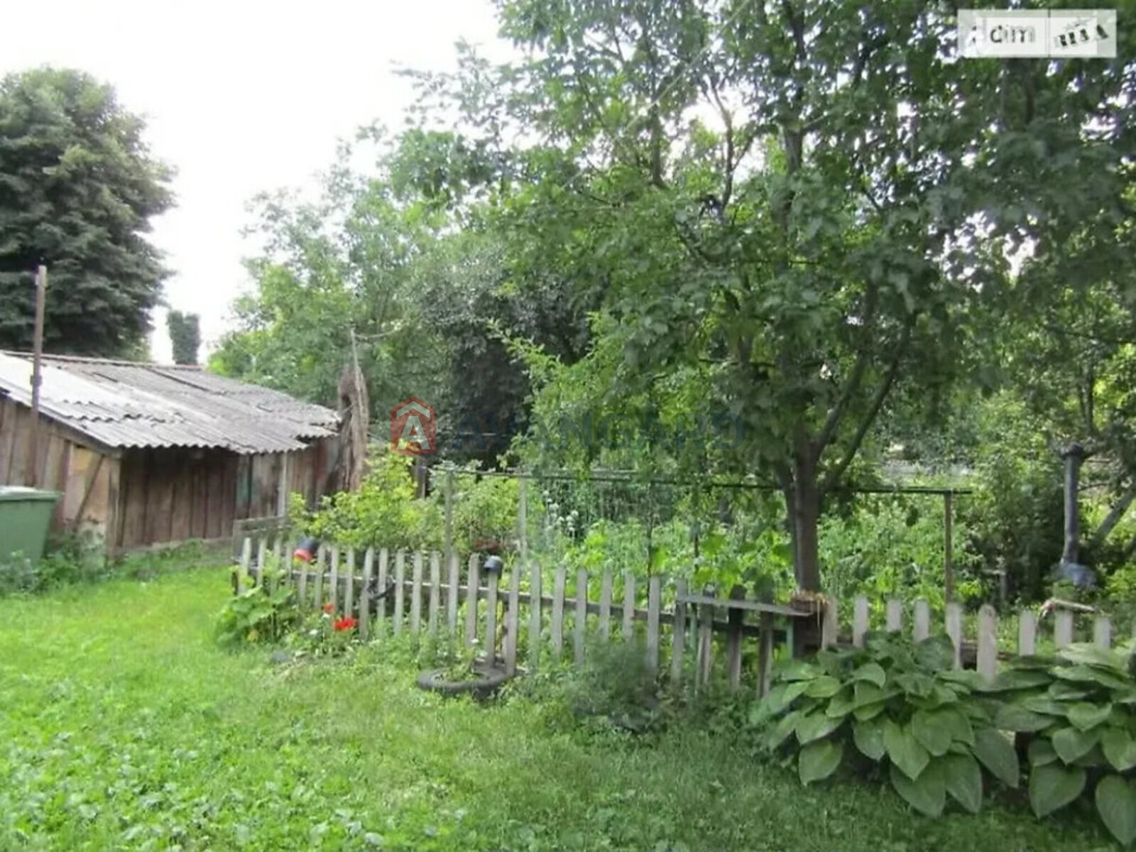 ������� �������, 33 ��.�. ���� 3