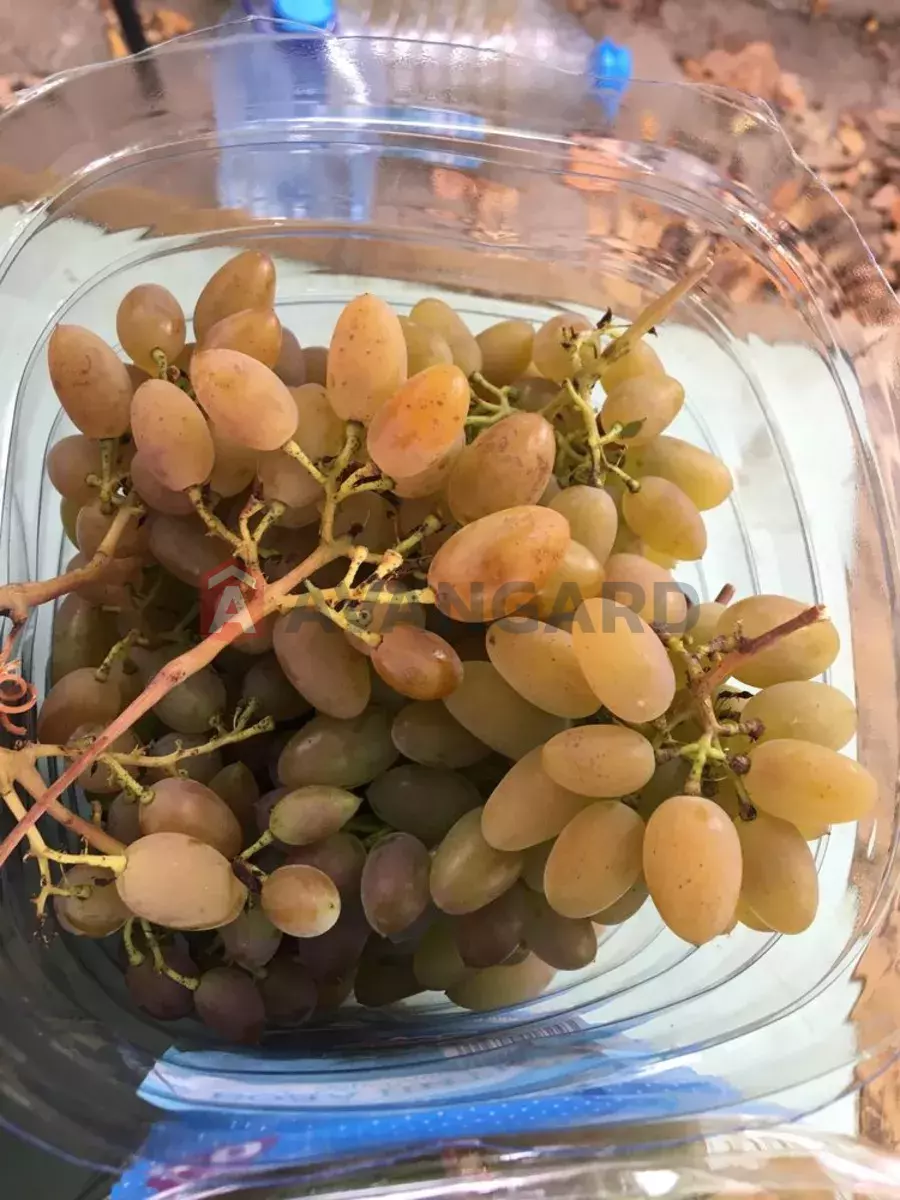 ����, 20 ��.�. ���� 8