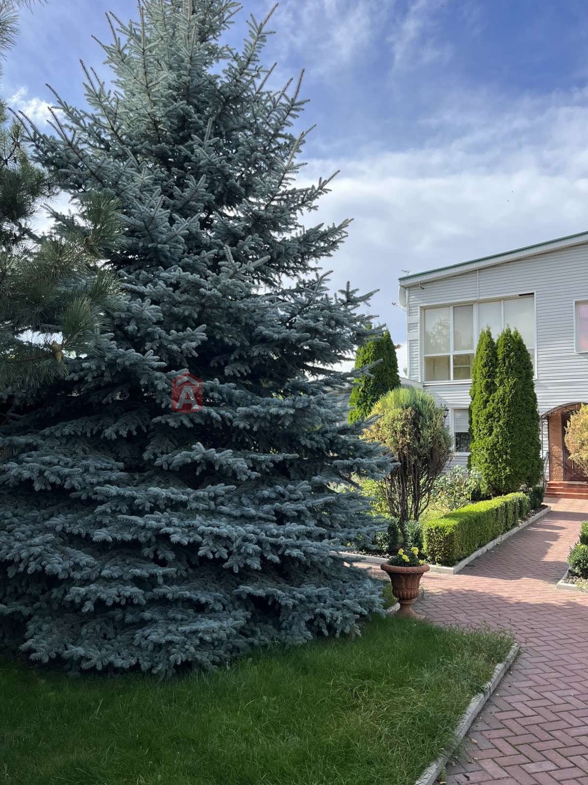 Будинок, 237 кв.м. фото 3 Будинок, 237 кв.м. фото 3