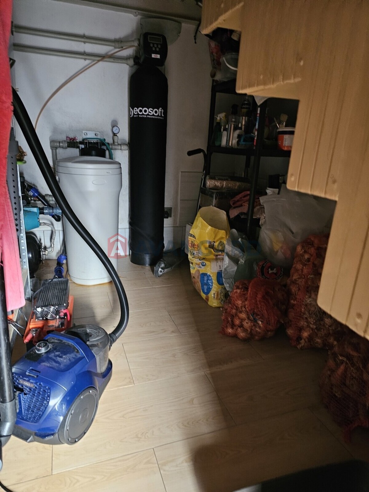 ����, 100 ��.�. ���� 15