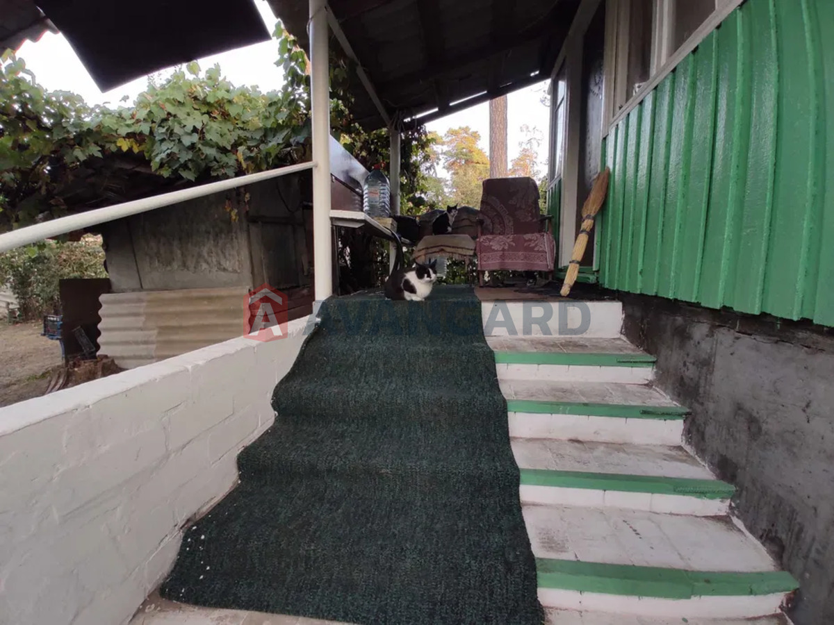 ������� �������, 50 ��.�. ���� 1