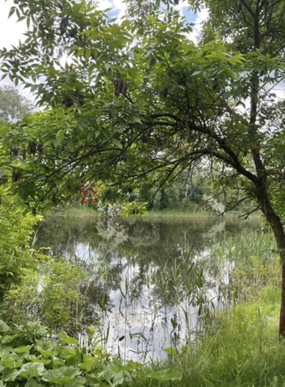 ����, 350 ��.�. ���� 28