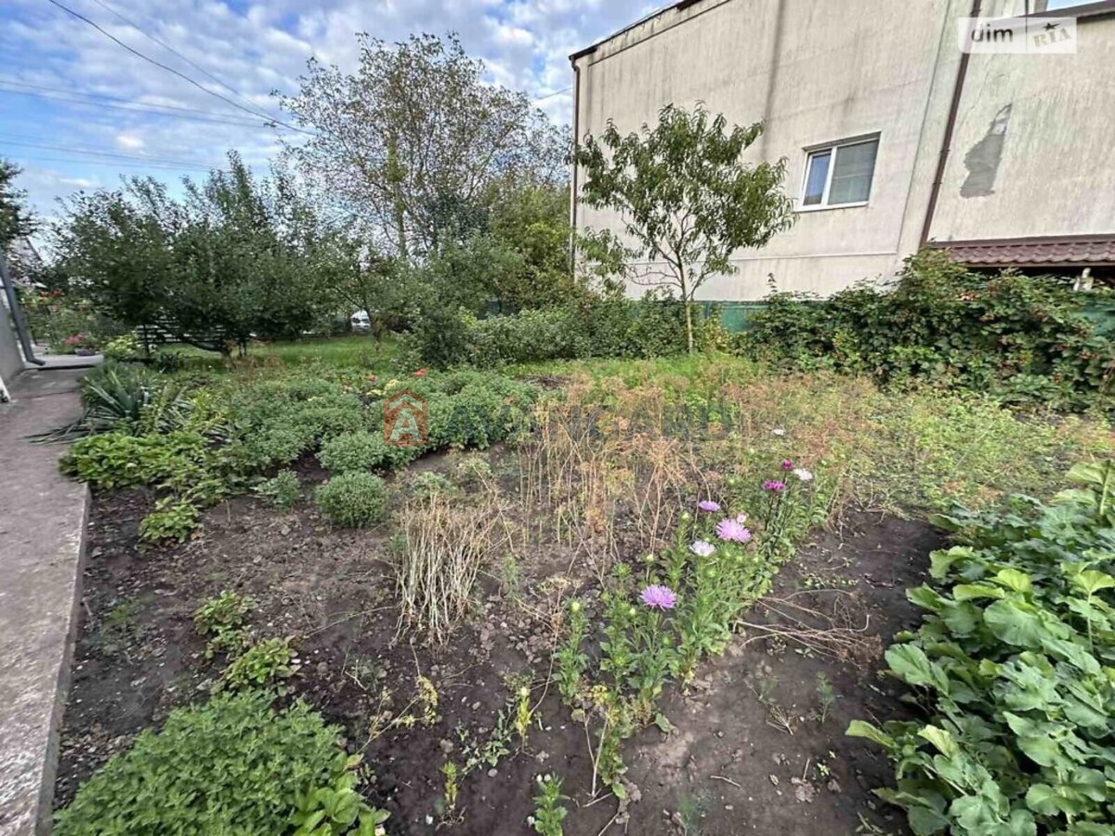 �������, 295 ��.�. ���� 7