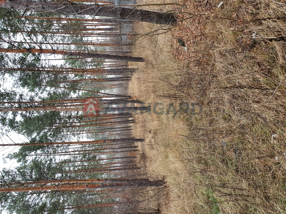 , 250 ..  11