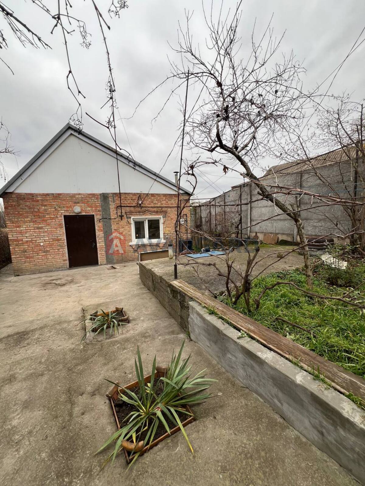 �������, 49 ��.�. ���� 1