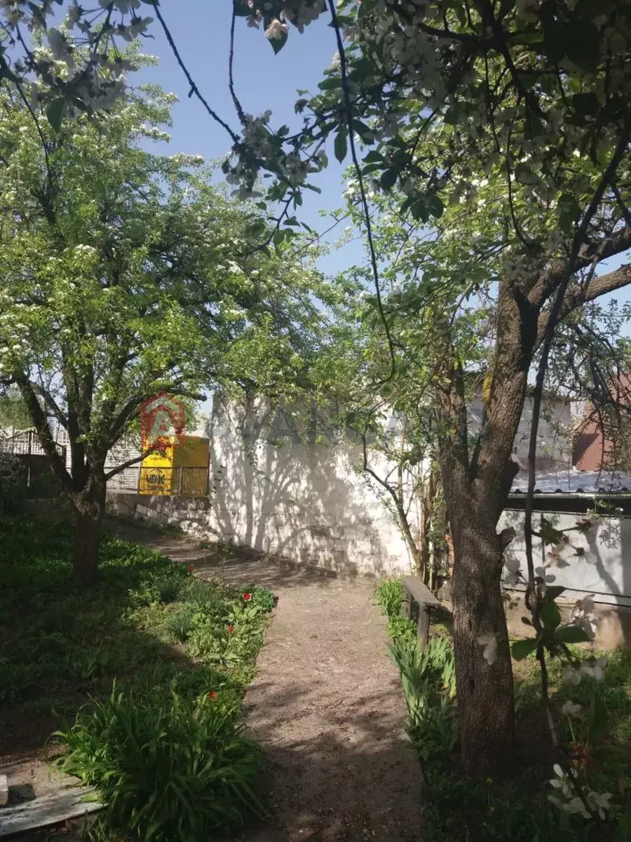 �������, 40 ��.�. ���� 3