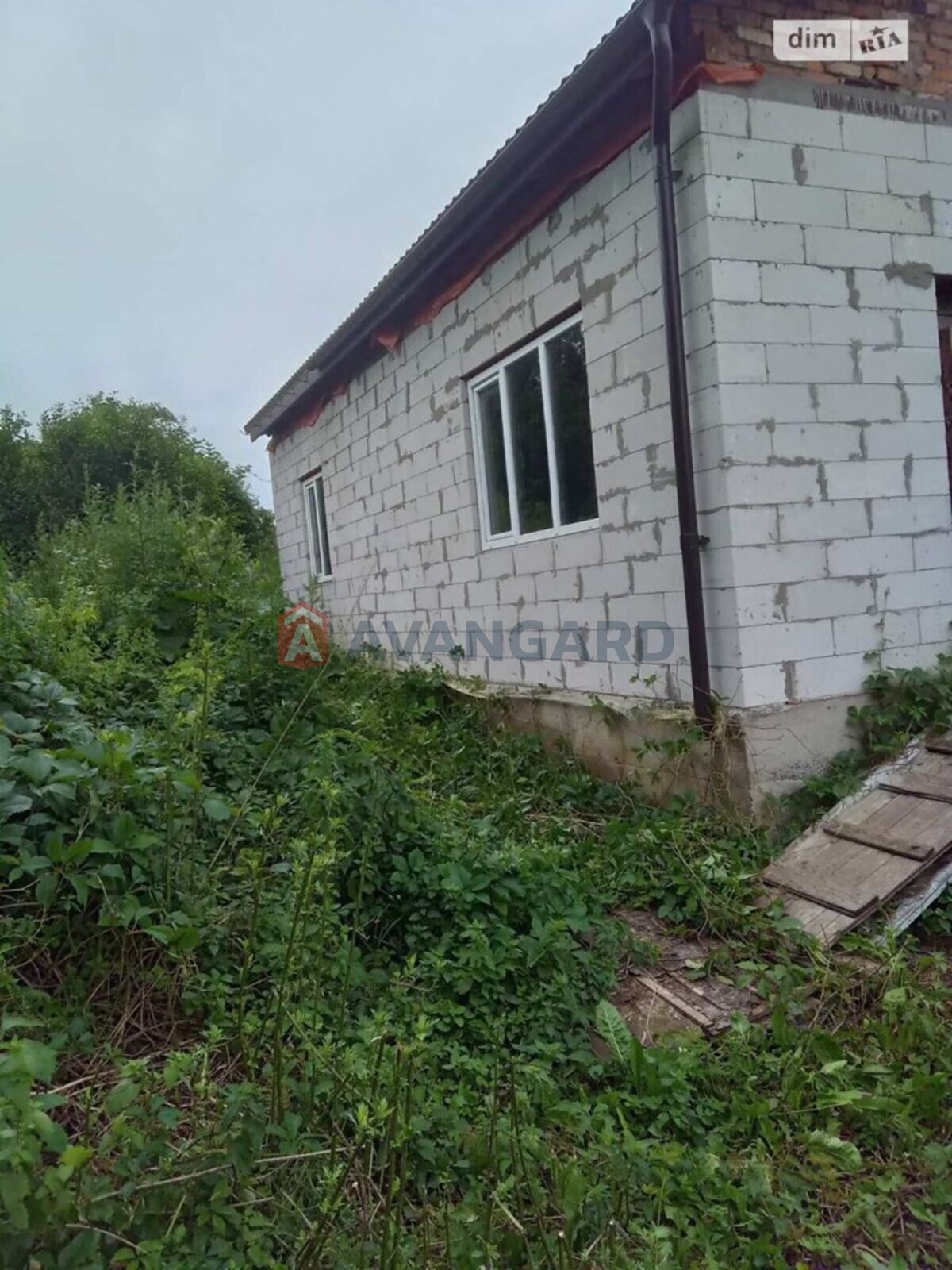 �������, 100 ��.�. ���� 3