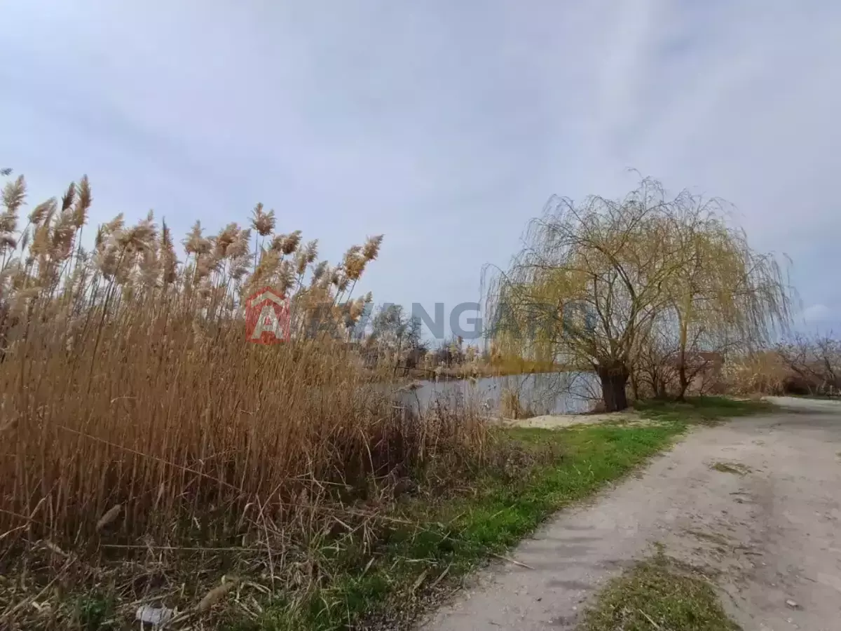 , 65 ..  12