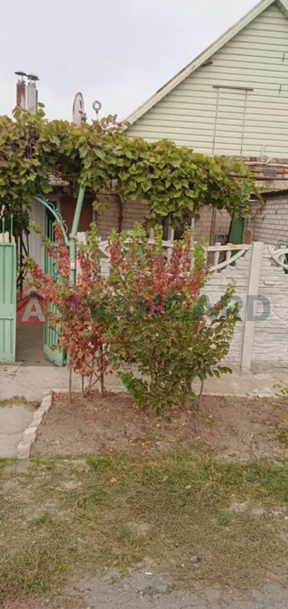 ����� ����, 65 ��.�. ���� 1