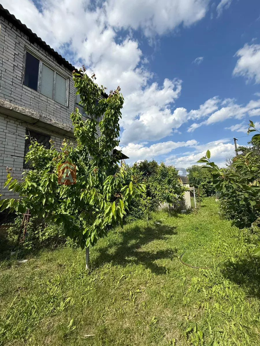 ����, 70 ��.�. ���� 15