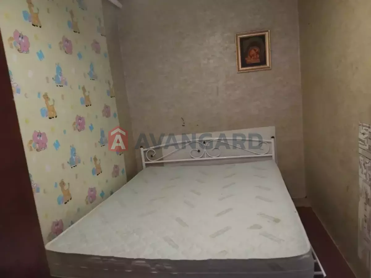 �������, 80 ��.�. ���� 8