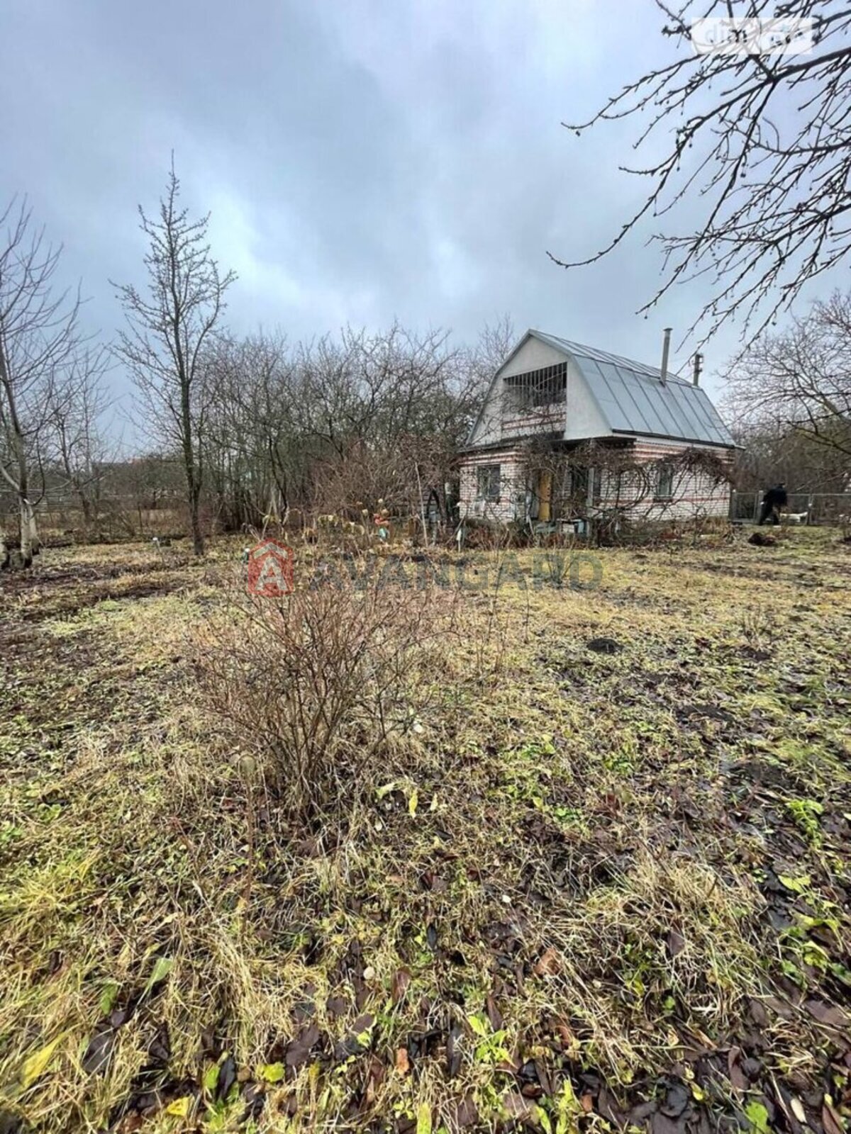 �������, 49 ��.�. ���� 5