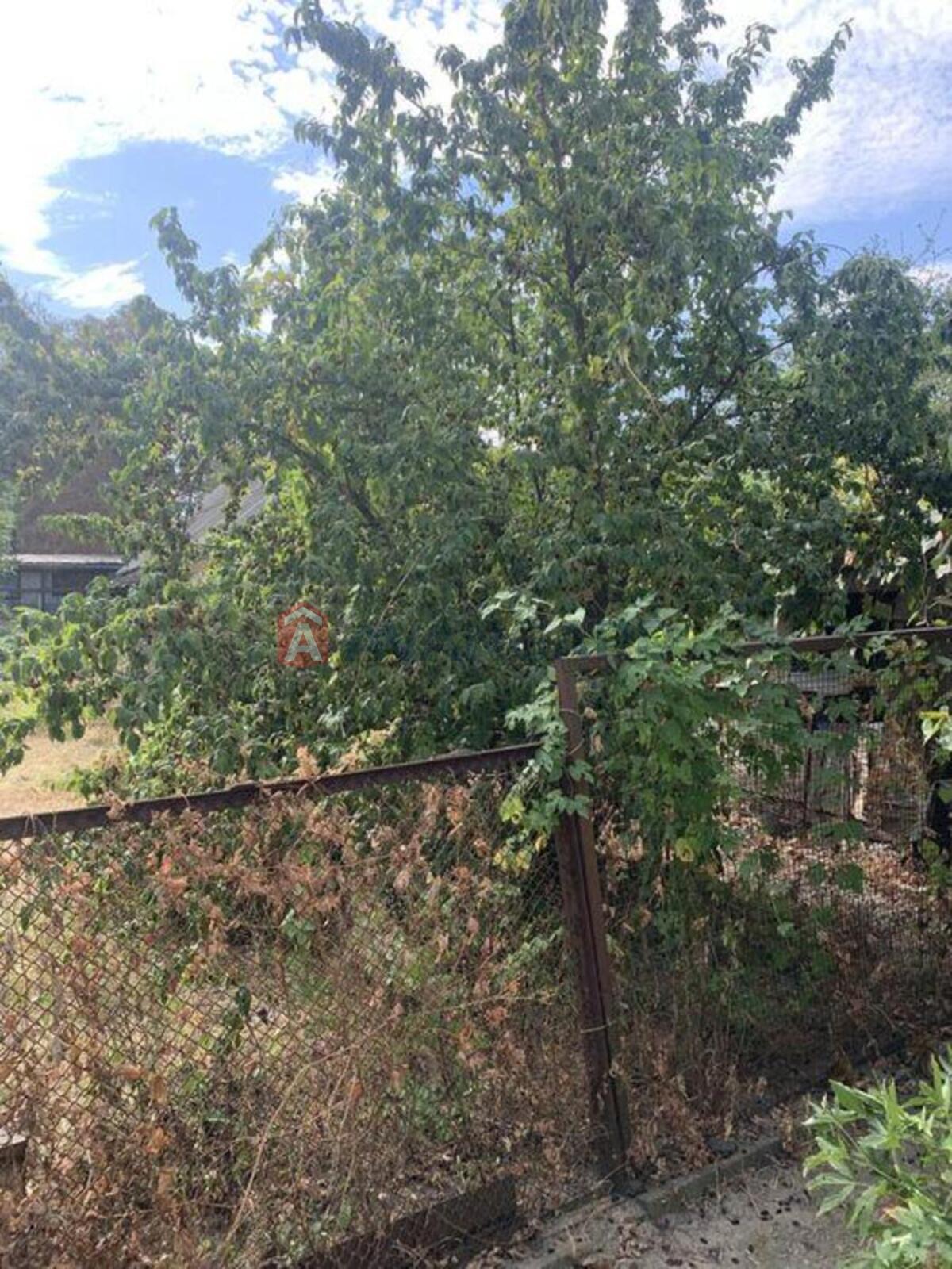 �������, 70 ��.�. ���� 6