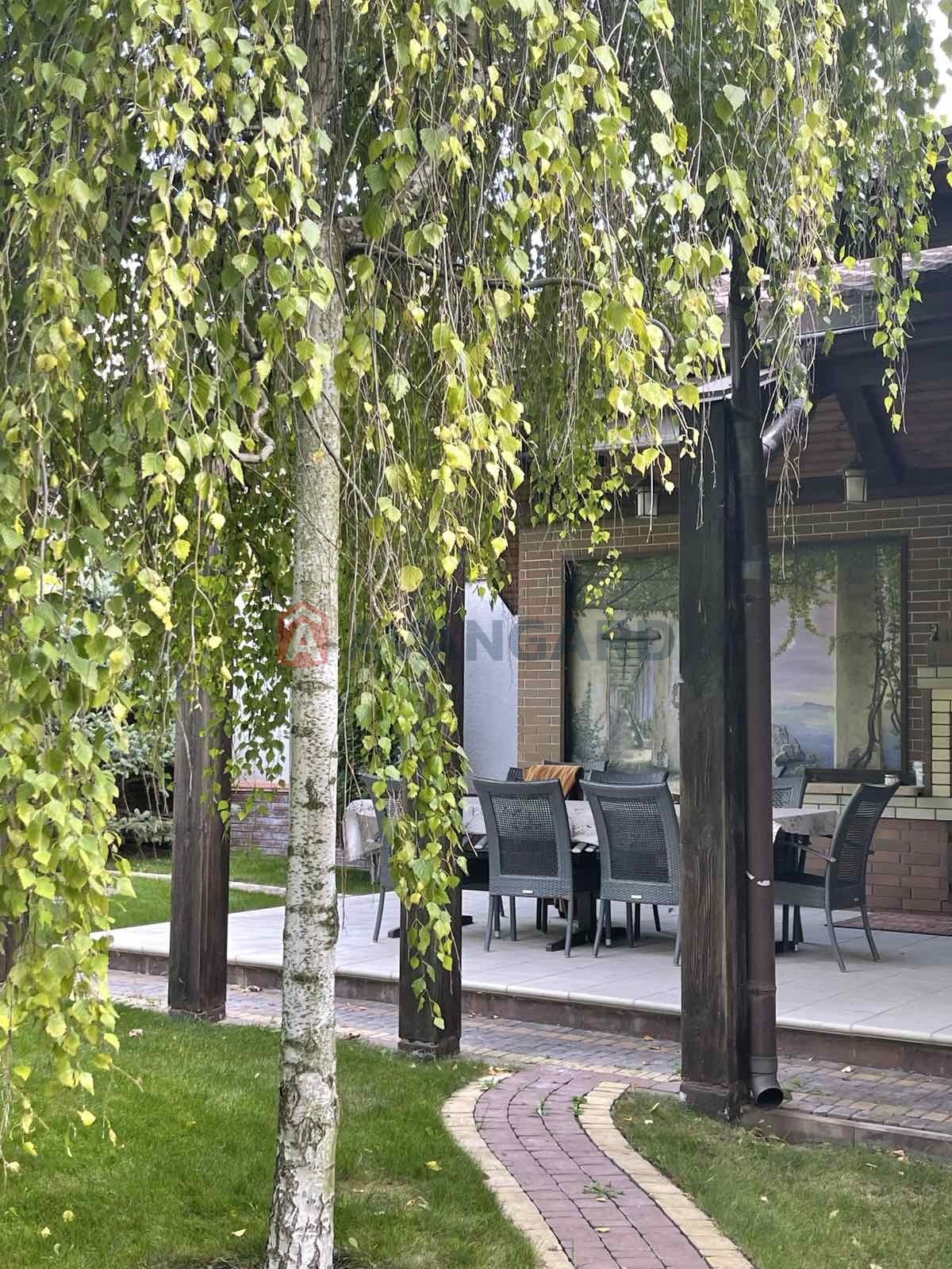 �������, 496 ��.�. ���� 19