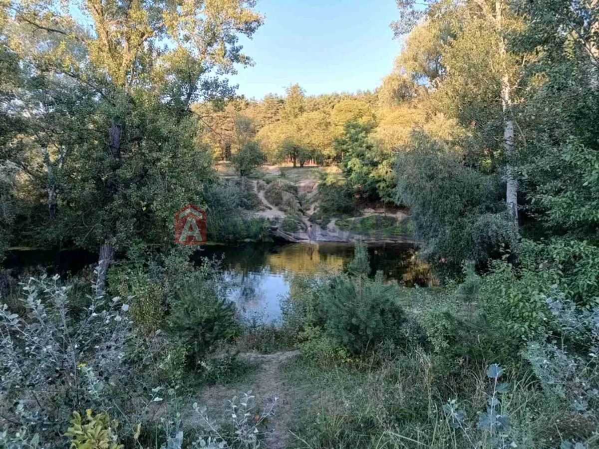 ����, 20 ��.�. ���� 11