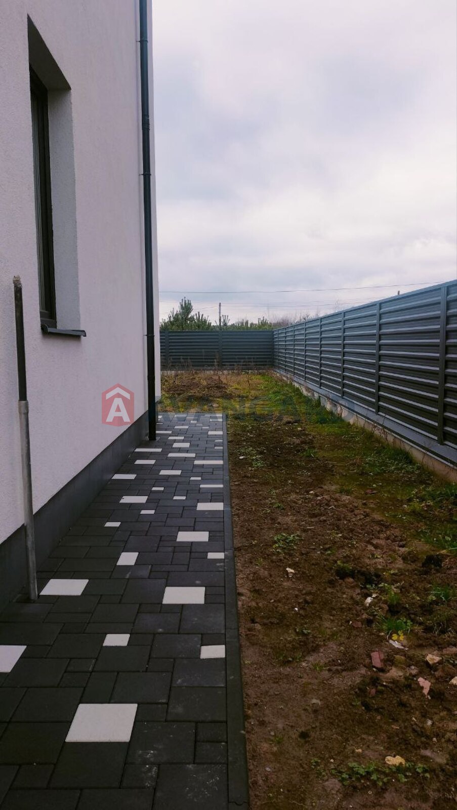 155 ��.�. ���� 5