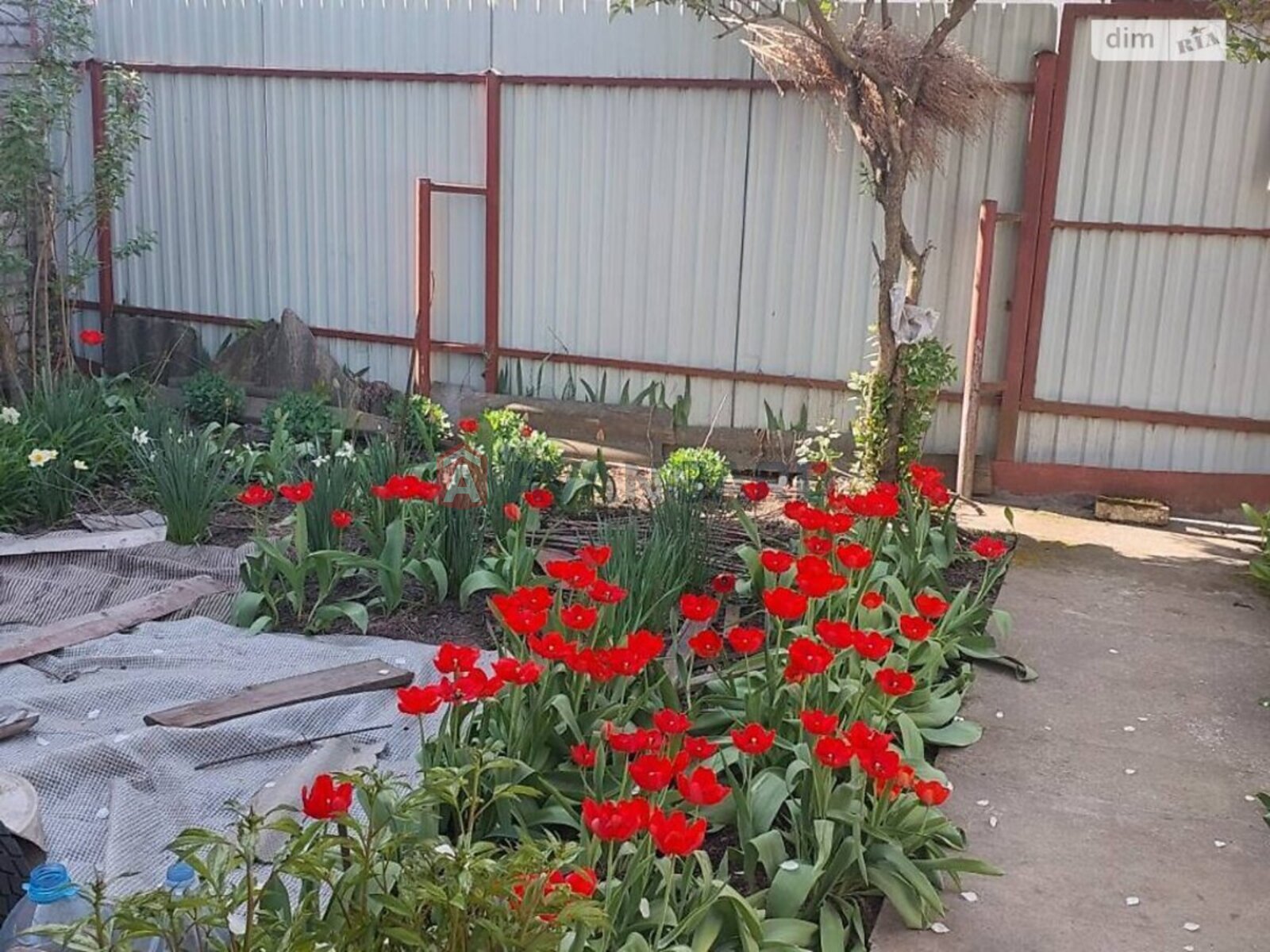 ������� �������, 30 ��.�. ���� 8