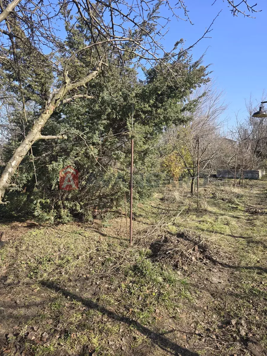 ����, 10 ��.�. ���� 2