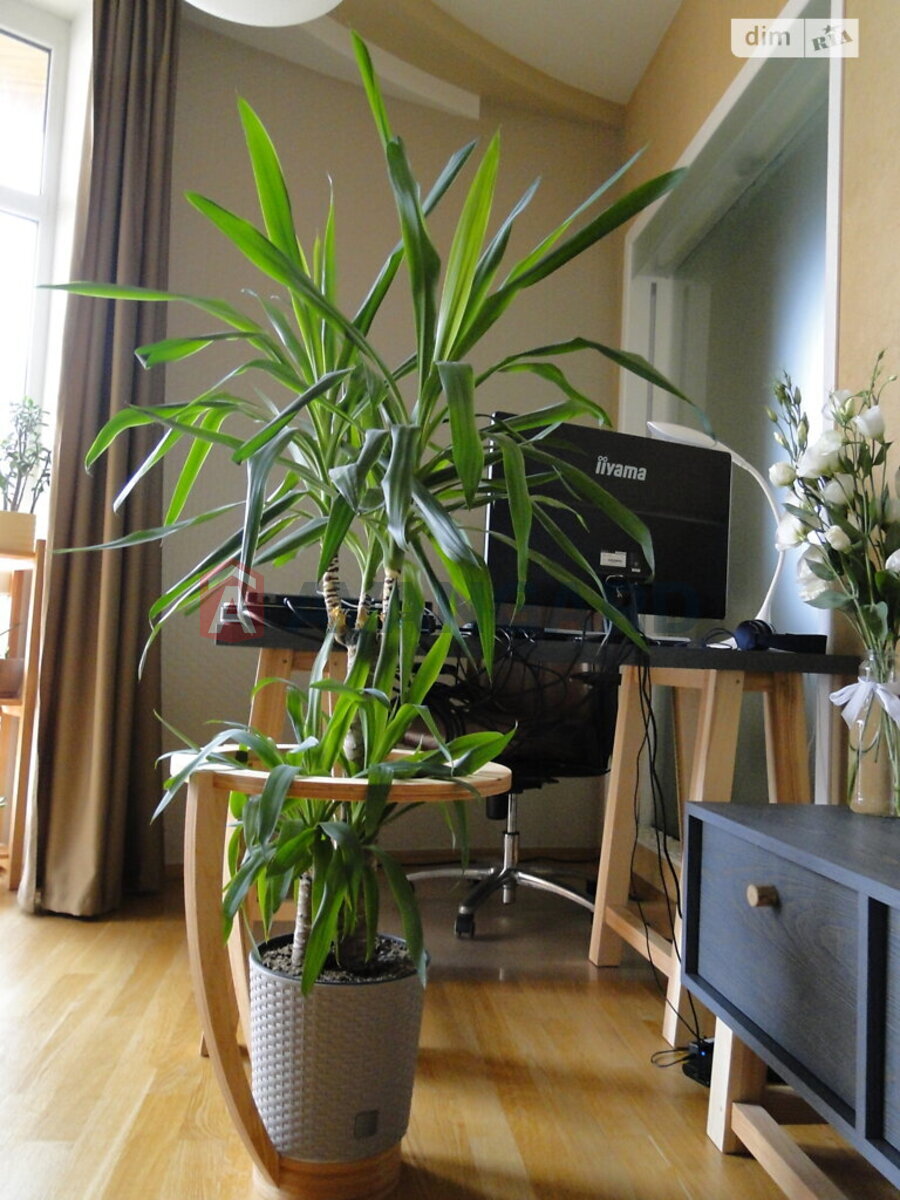 �������, 97 ��.�. ���� 3