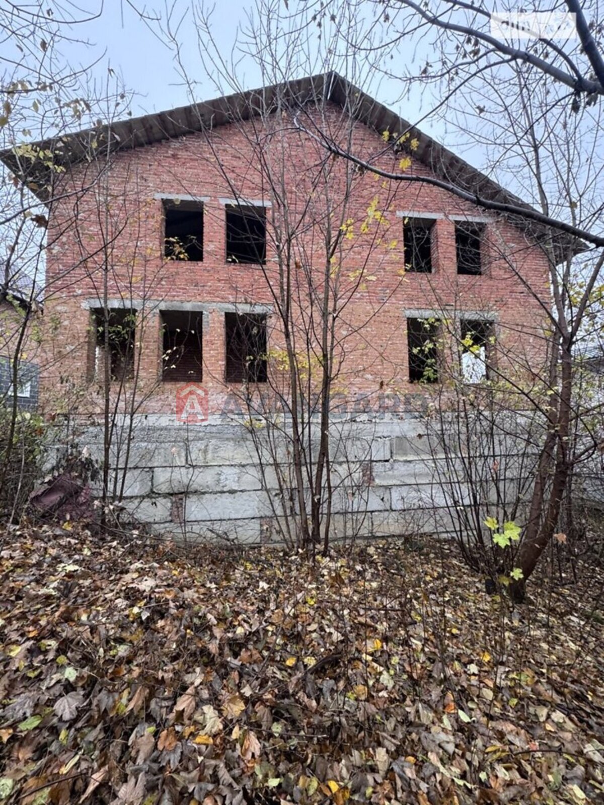 250 ��.�. ���� 12