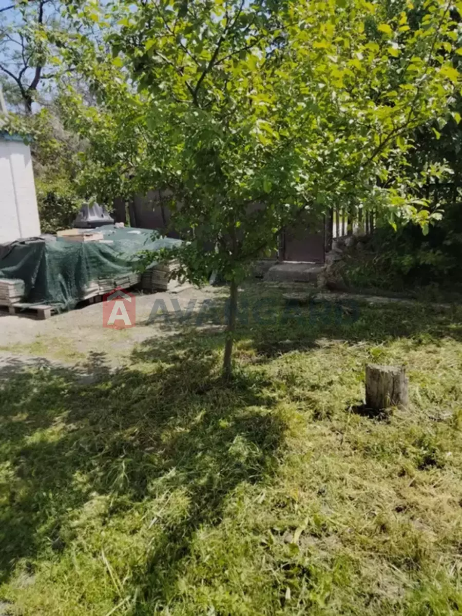 �������, 54 ��.�. ���� 20