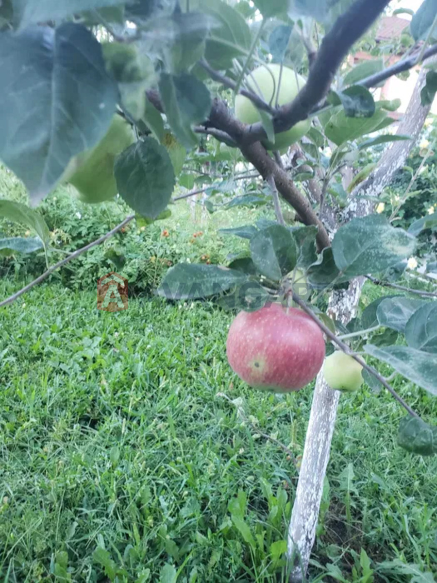 �������, 190 ��.�. ���� 19