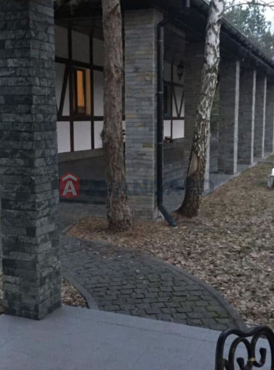 �������, 200 ��.�. ���� 24