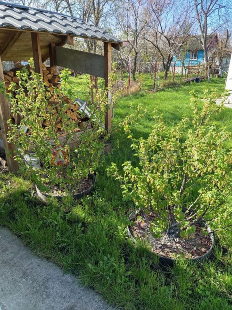 125 ��.�. ���� 6