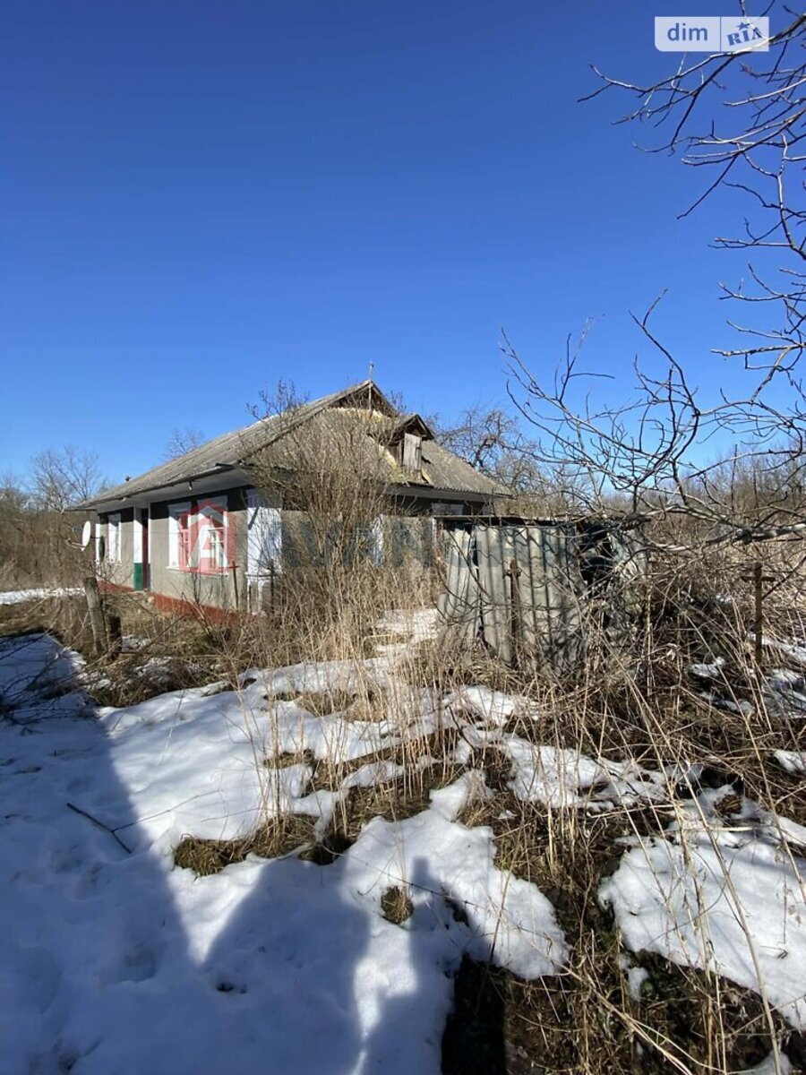 �������, 80 ��.�. ���� 15