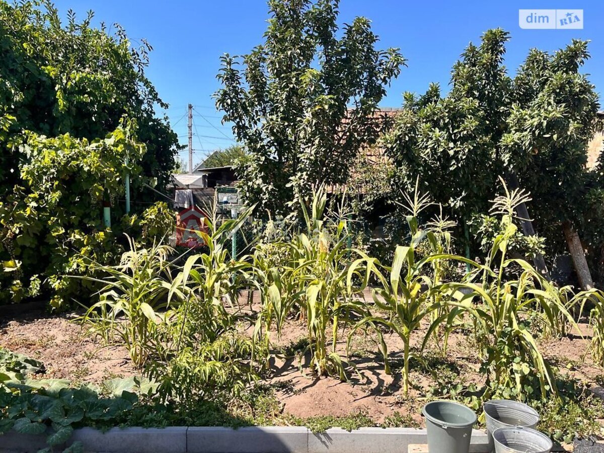 �������, 54 ��.�. ���� 1