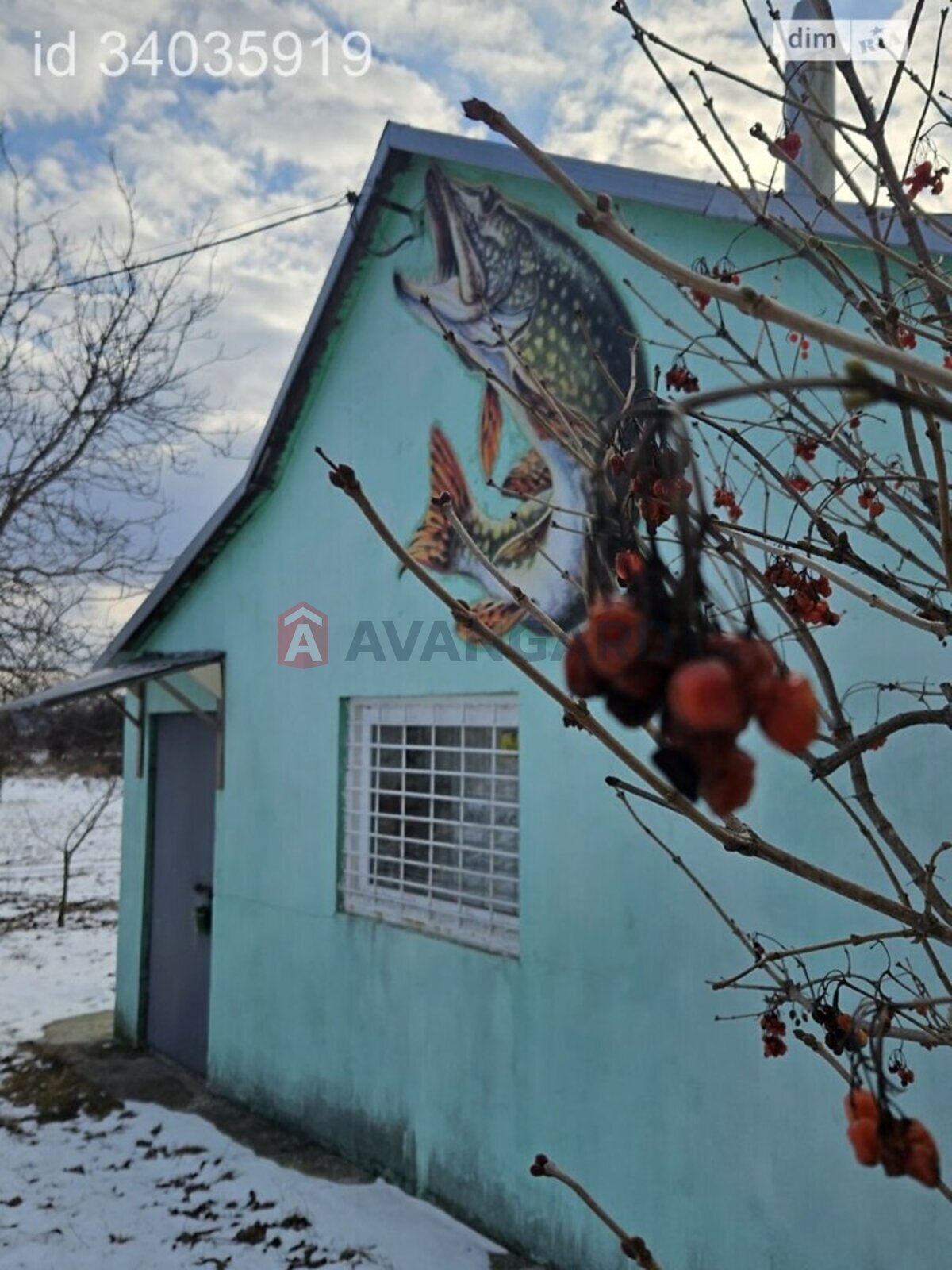 �������, 23 ��.�. ���� 9