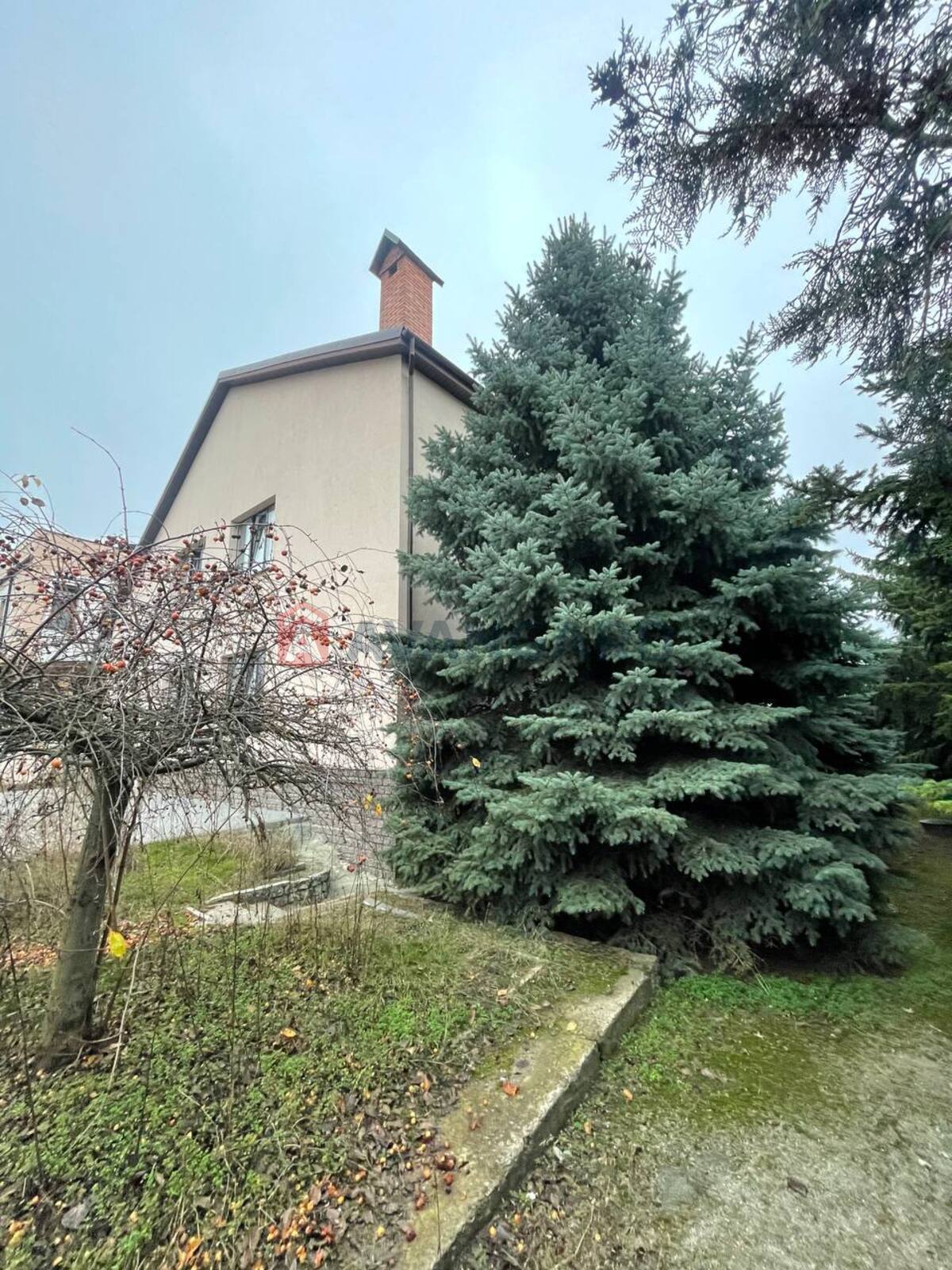 �������, 406 ��.�. ���� 2